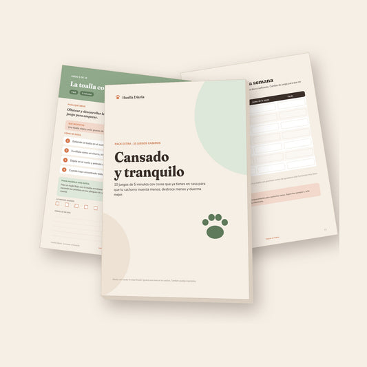 Pack Cansado y tranquilo · 10 juegos caseros